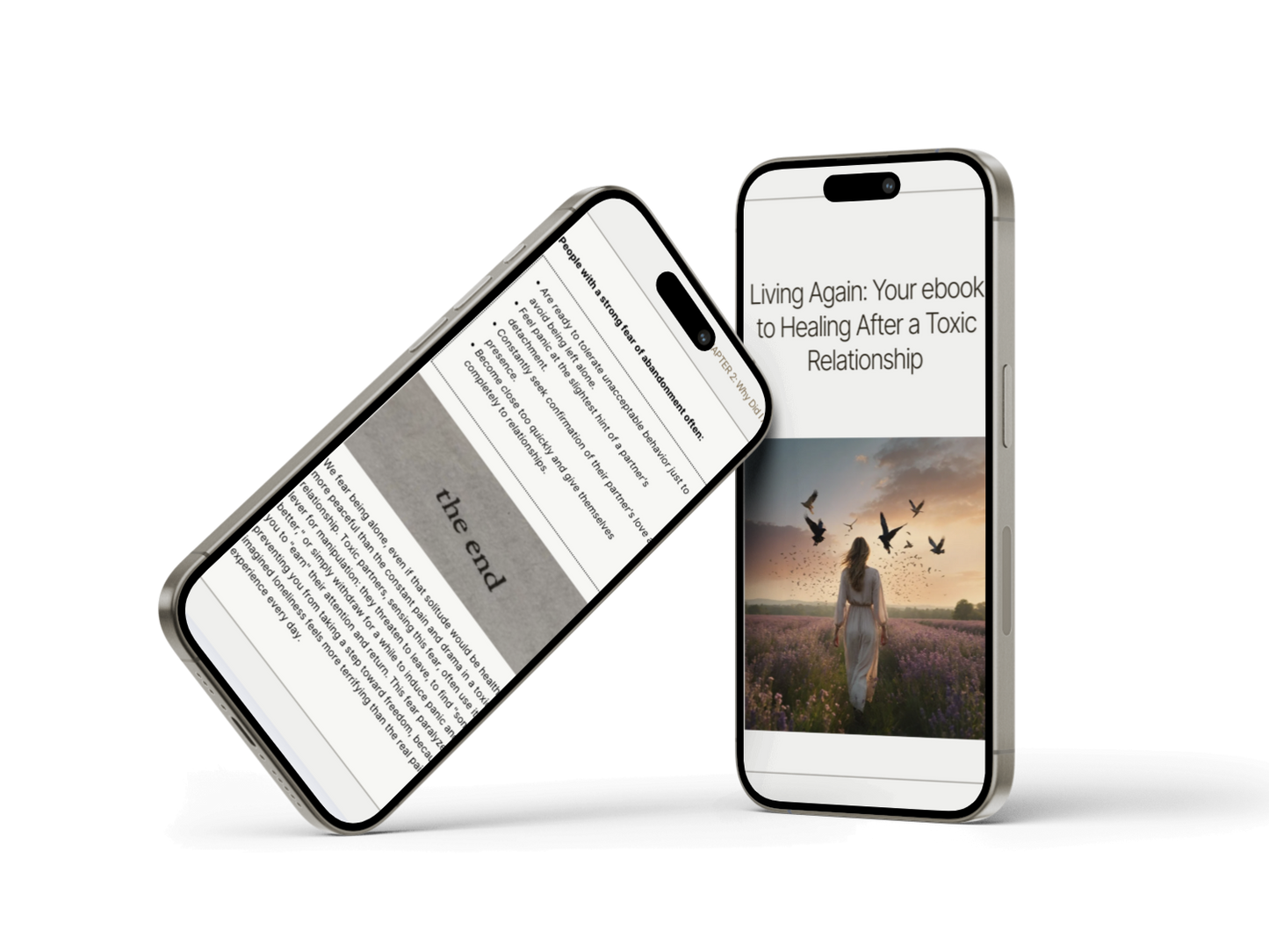 Living Again: Your ebook to Healing After a Toxic Relationship